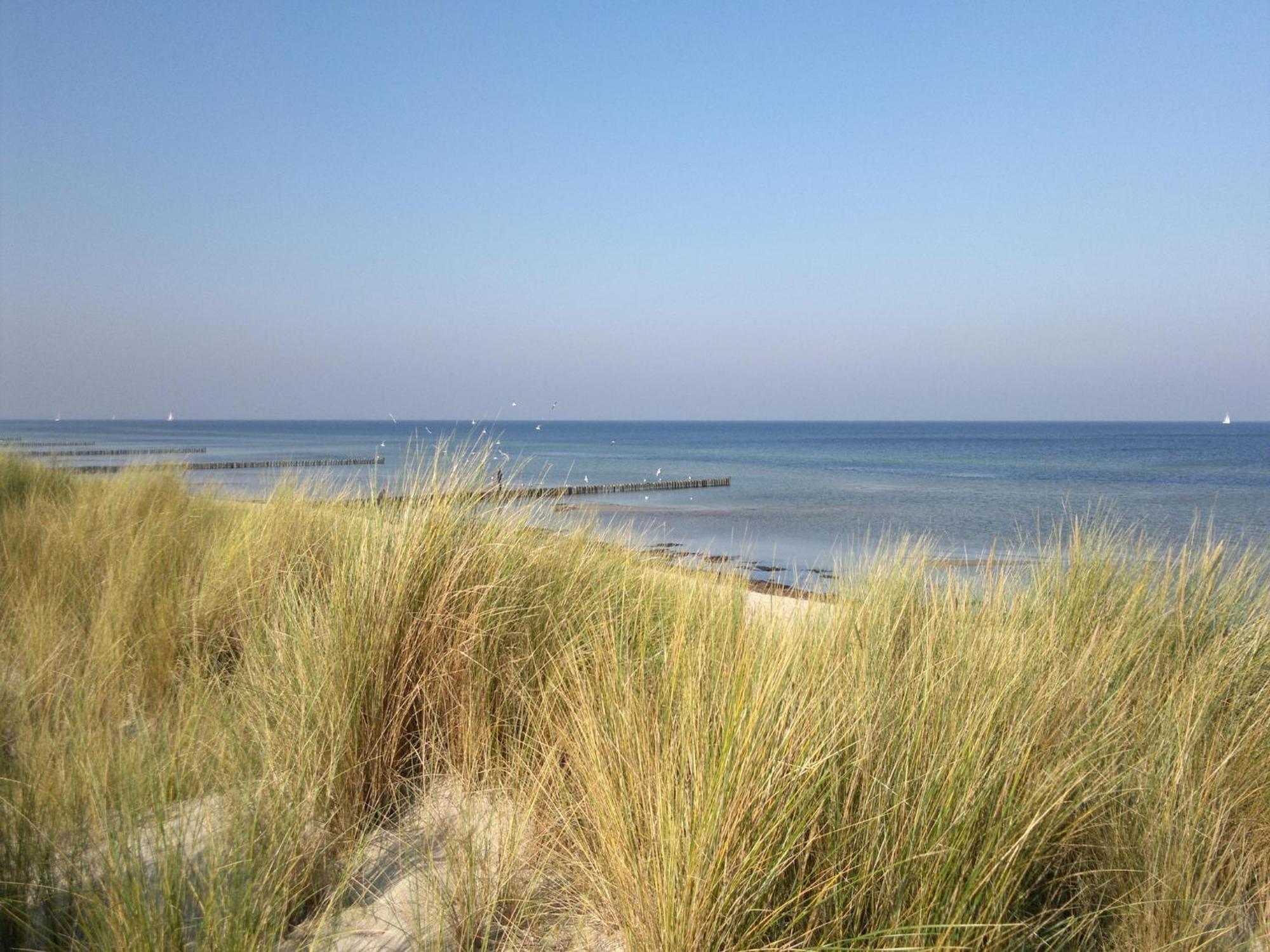 Boutique Bungalow In Insel Poel With Terrace المظهر الخارجي الصورة